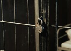 closed prison cell doors with lock